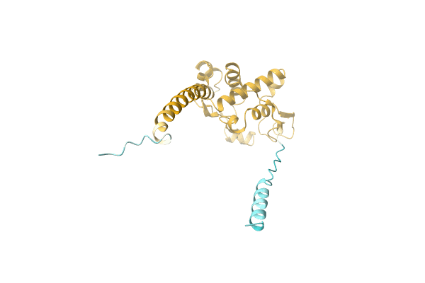 AF-A0A5E5PMH9-F1 image