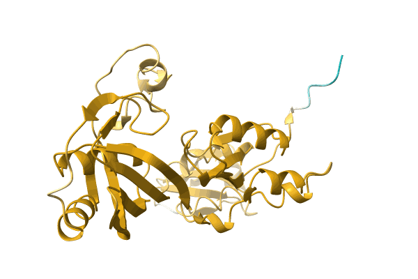 AF-A0A5E5PMJ9-F1 image