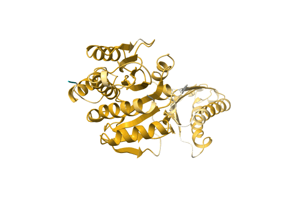 AF-A0A5F1B145-F1 image