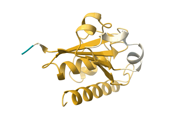 AF-A0A5F1B194-F1 image