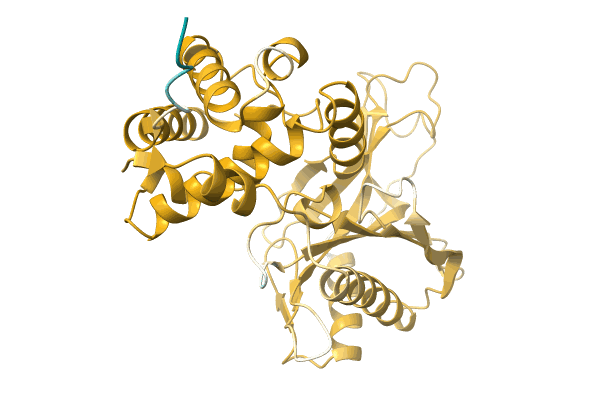 AF-A0A5F1B1A0-F1 image