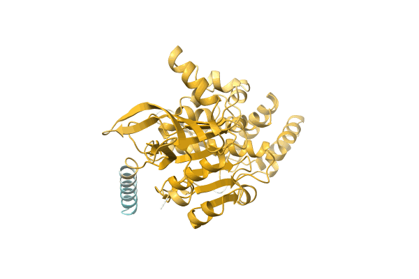 AF-A0A5F1B1A7-F1 image