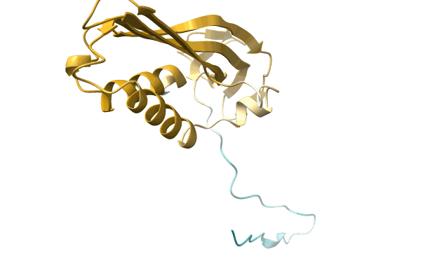 AF-A0A5H6X745-F1 image