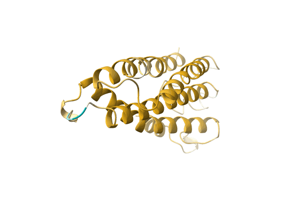 AF-A0A5P8NG95-F1 image