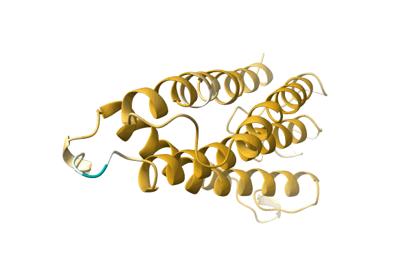 AF-A0A5P8NGU7-F1 image