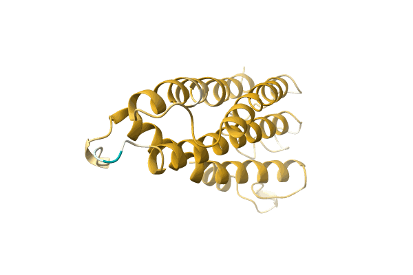 AF-A0A5P8NGV8-F1 image