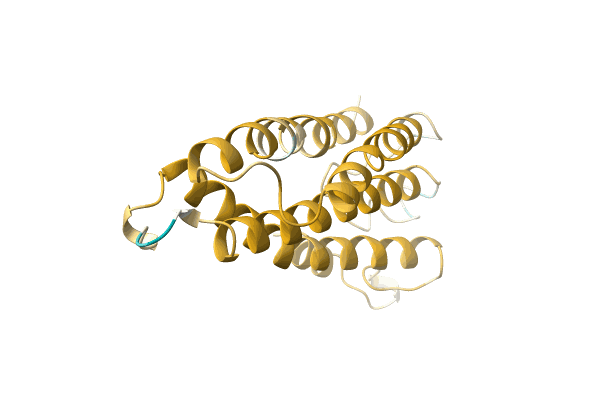 AF-A0A5P8NGY2-F1 image