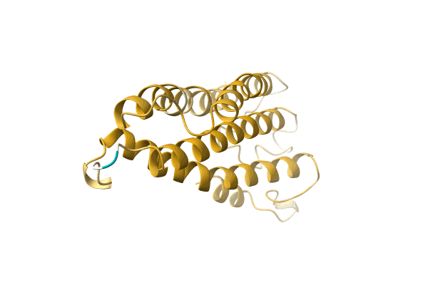 AF-A0A5P8NH09-F1 image