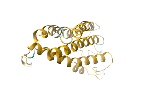 AF-A0A5P8NHJ2-F1 image