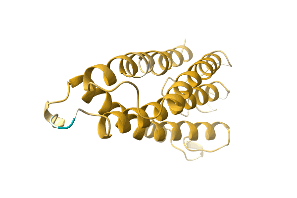 AF-A0A5P8NI62-F1 image