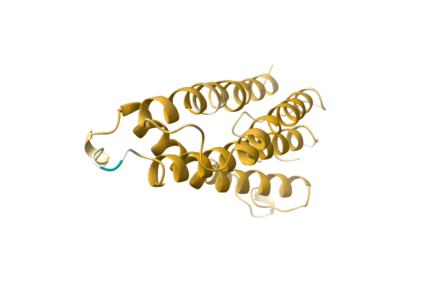 AF-A0A5P8NIT4-F1 image