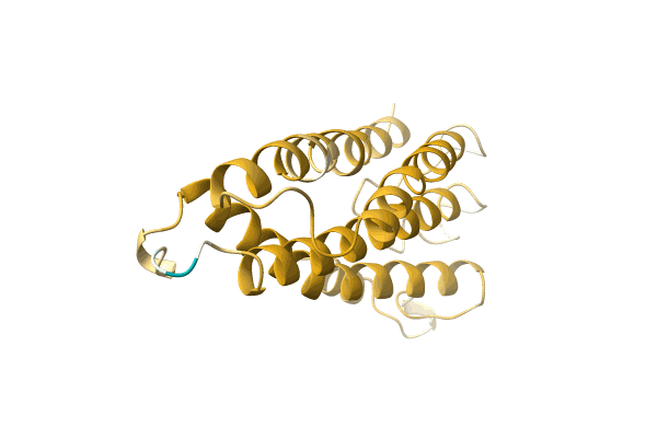 AF-A0A5P8NJ41-F1 image