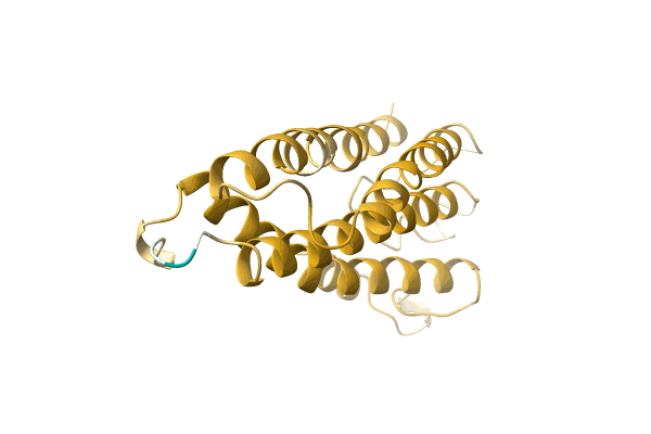 AF-A0A5P8NJ48-F1 image