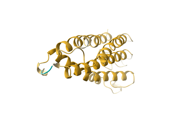 AF-A0A5P8NJG0-F1 image