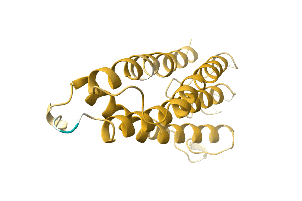 AF-A0A5P8NJJ5-F1 image