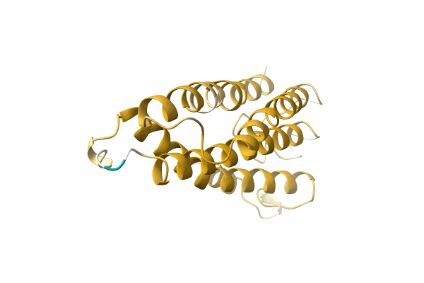 AF-A0A5P8NJV8-F1 image