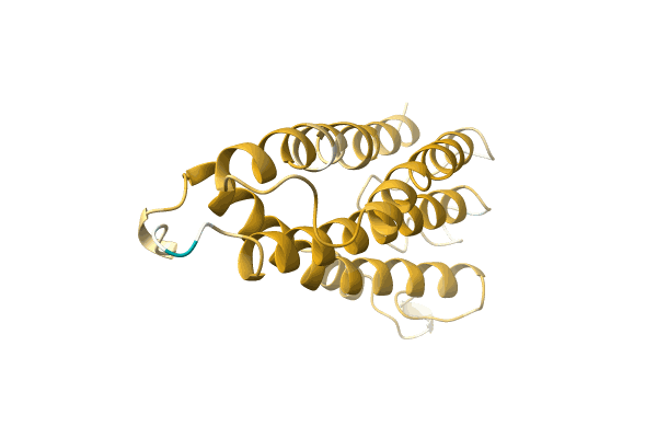 AF-A0A5P8NJZ8-F1 image