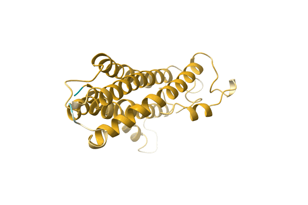 AF-A0A5P9KMC8-F1 image