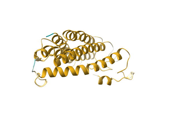 AF-A0A5P9VNL4-F1 image