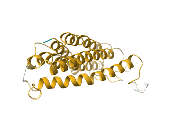 AF-A0A5P9VNN0-F1 image