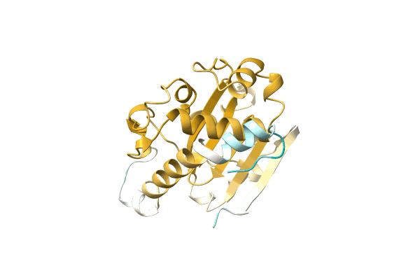 AF-A0A5Q0H3I1-F1 image