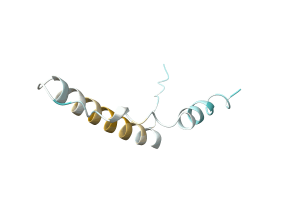 AF-A0A5Q0IL40-F1 image