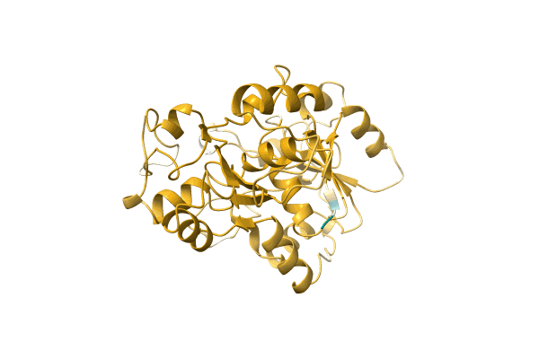 AF-A0A5Q0IL45-F1 image