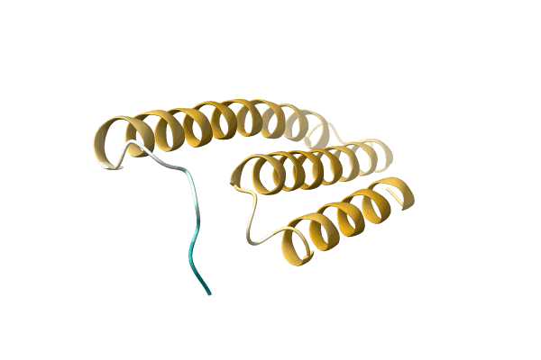 AF-A0A5Q0N2R8-F1 image