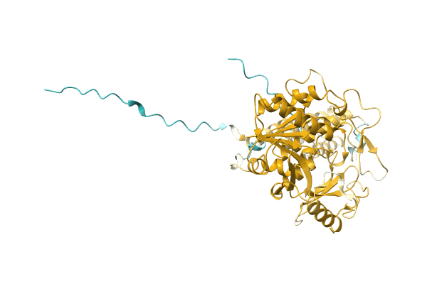 AF-A0A5Q2VWY7-F1 image