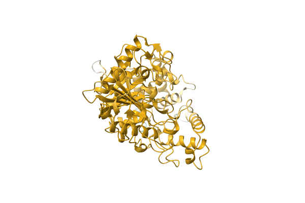 AF-A0A5S4WYZ9-F1 image