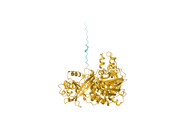 AF-A0A5W5IDN3-F1 image