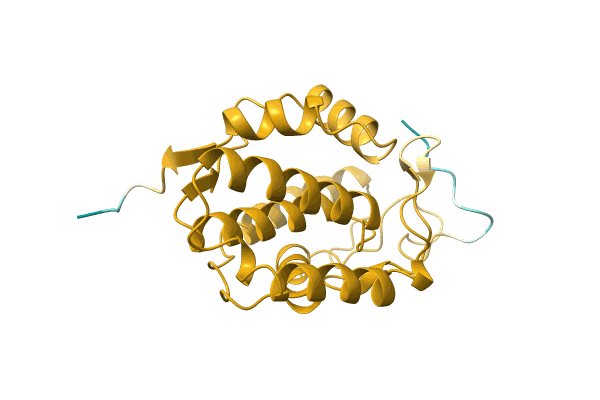 AF-A0A5W5IEM8-F1 image