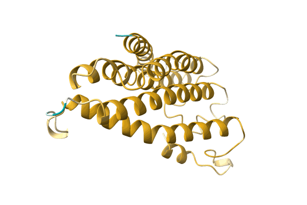 AF-A0A649YB23-F1 image