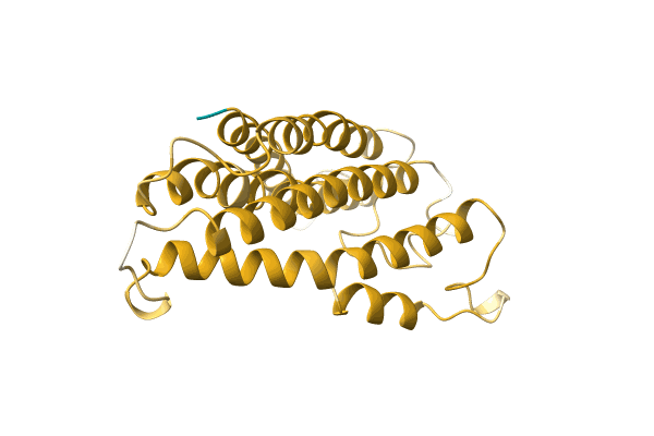 AF-A0A650ADM7-F1 image