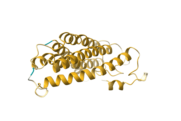 AF-A0A650AEN1-F1 image