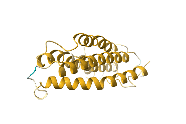 AF-A0A650D3C3-F1 image