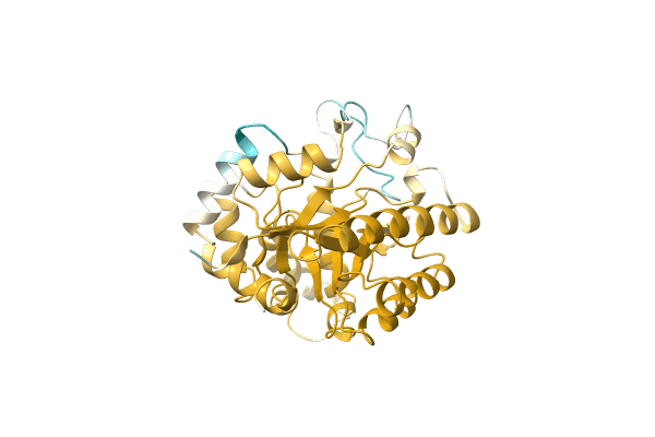 AF-A0A6A5X7A8-F1 image