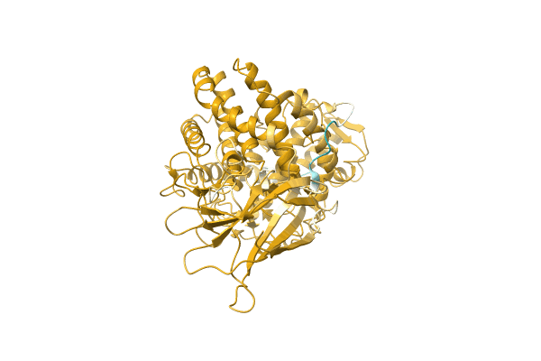 AF-A0A6A6H542-F1 image