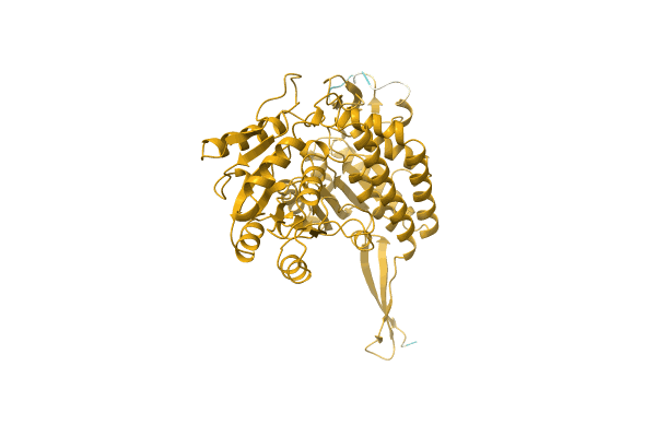AF-A0A6B2BE83-F1 image