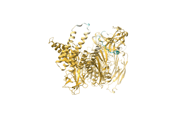 AF-A0A6B2KWT8-F1 image