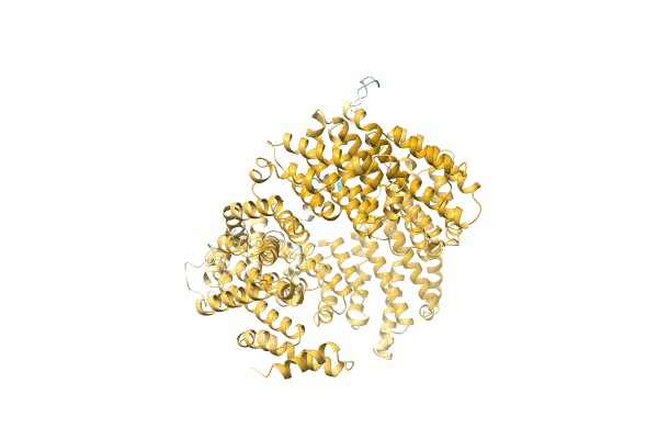 AF-A0A6B2KWV4-F1 image