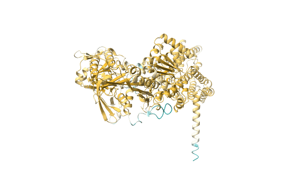 AF-A0A6B2KX35-F1 image