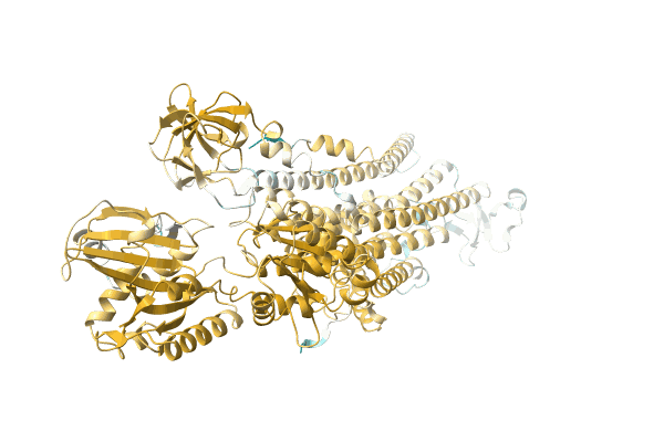 AF-A0A6B2KX59-F1 image