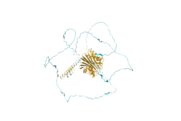 AF-A0A6B2L099-F1 image