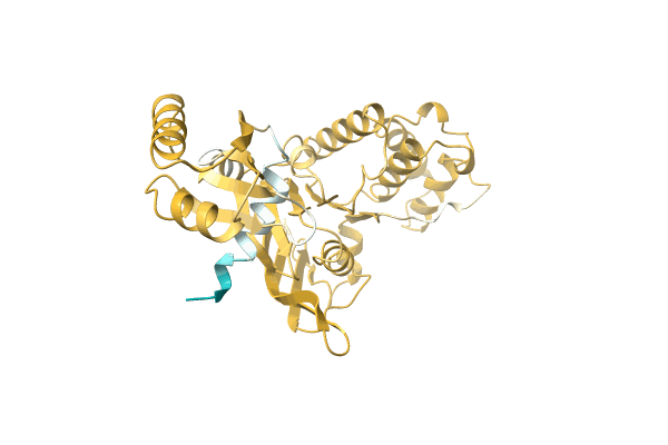 AF-A0A6B3VTM9-F1 image