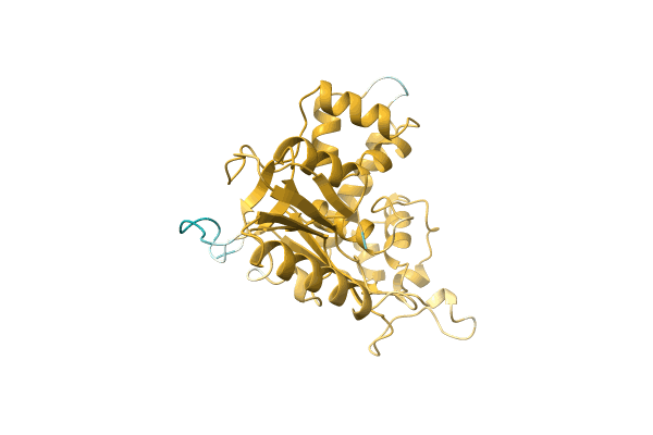 AF-A0A6B7RCD3-F1 image