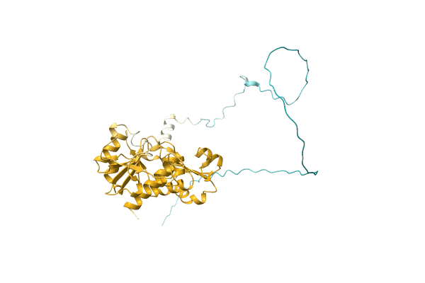 AF-A0A6B8XE19-F1 image