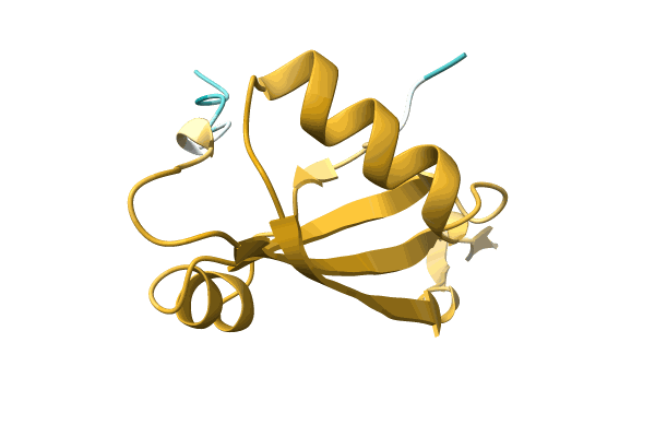 AF-A0A6B9U6U5-F1 image