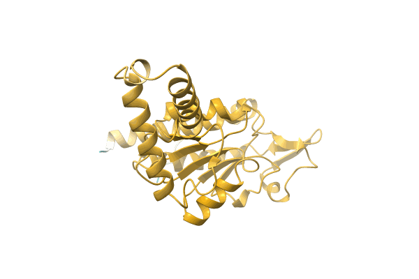 AF-A0A6B9U736-F1 image