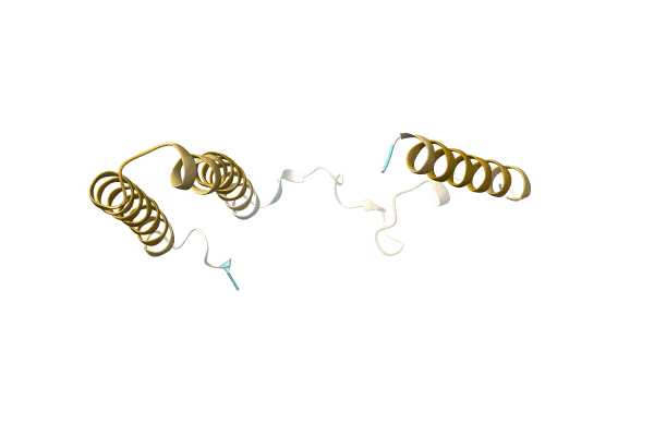 AF-A0A6C0ABF6-F1 image